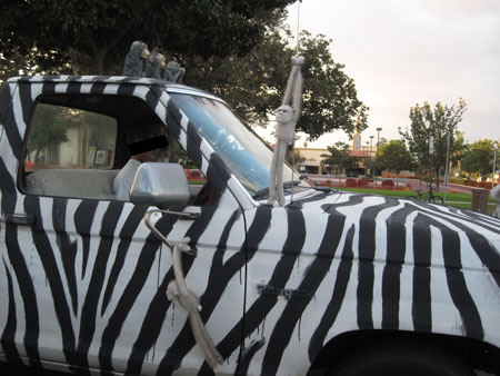 Car Zebra