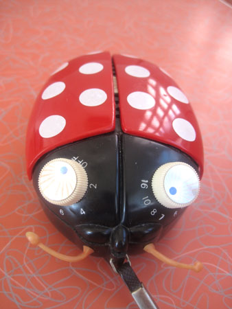 ladybug-transistor-radio__3561