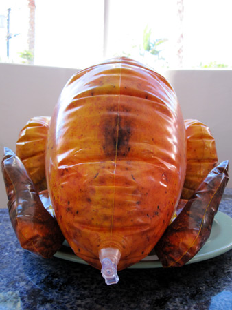 inflatable-turkey__0018