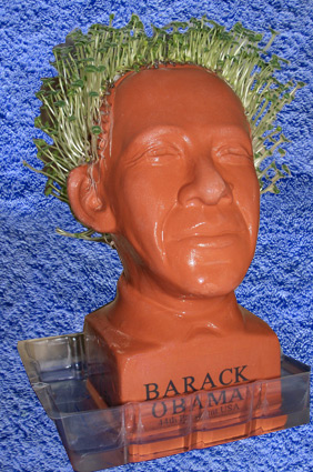 chia-obama-front