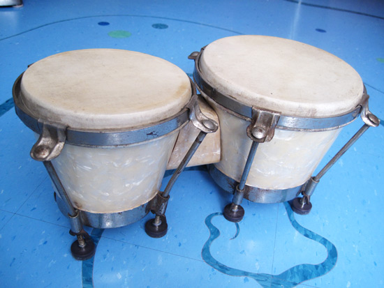 bongos-pearlized-white_6729