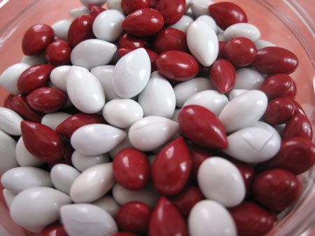 wisconsin-badger-droppings_0742