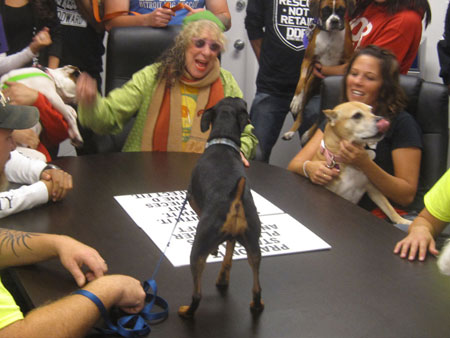DDogRescue_0358MEEEE2